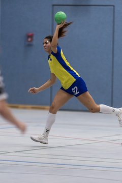 Bild 256 - F HSG Pinnau2 - Rellinger TV2 : Ergebnis: 27:20